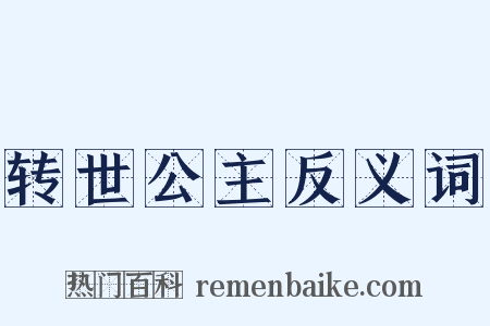 转世公主反义词是什么意思的图片